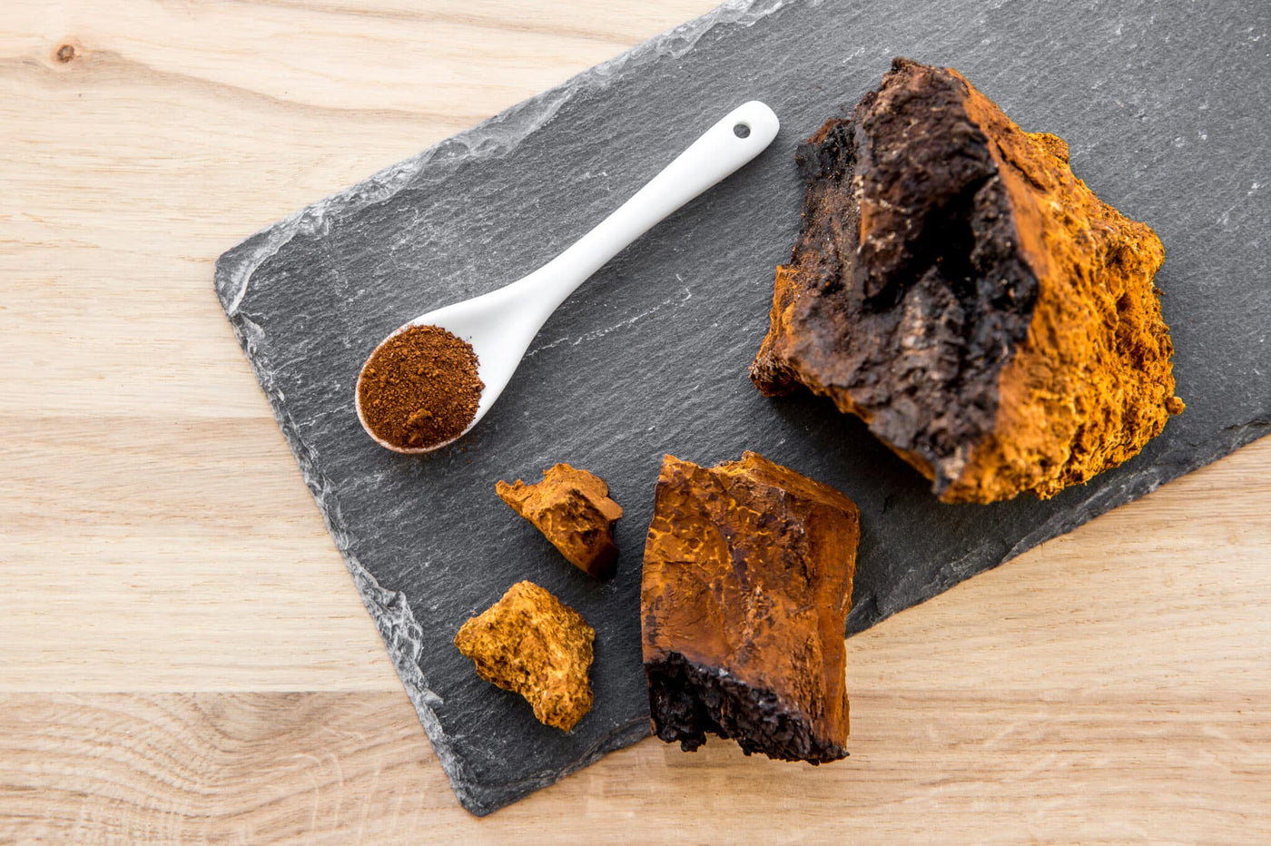 What are Chaga Mushrooms and how healthy are they?