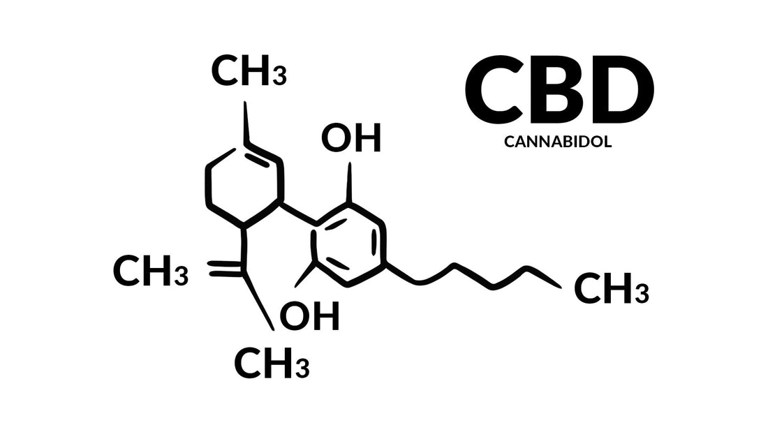 What is CBD? - Deep Dive